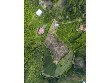 se vende finca en Alcala