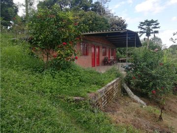 se vende finca en Alcala