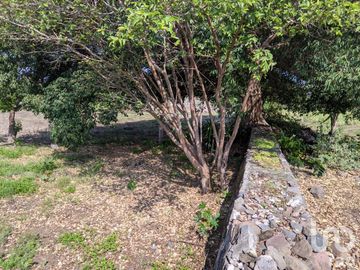 Terreno en Venta de Oportunidad en excelente ubicación en Alcaraces Cuauhtémoc, Colima.