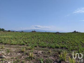Terreno en Venta de Oportunidad en excelente ubicación en Alcaraces Cuauhtémoc, Colima.