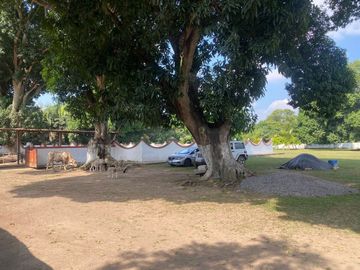 Rancho de 4 HECTÁREAS en venta en Rancho del Padre. MEDELLÍN, VERACRUZ