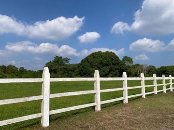Rancho de 4 HECTÁREAS en venta en Rancho del Padre. MEDELLÍN, VERACRUZ