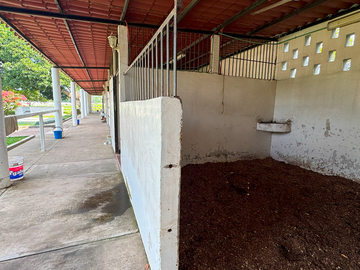 Rancho de 4 HECTÁREAS en venta en Rancho del Padre. MEDELLÍN, VERACRUZ