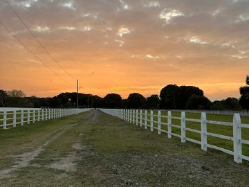 Rancho de 4 HECTÁREAS en venta en Rancho del Padre. MEDELLÍN, VERACRUZ