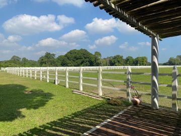 Rancho de 4 HECTÁREAS en venta en Rancho del Padre. MEDELLÍN, VERACRUZ