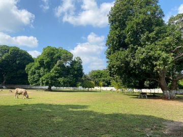 Rancho de 4 HECTÁREAS en venta en Rancho del Padre. MEDELLÍN, VERACRUZ
