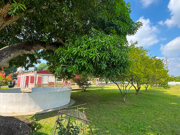 Rancho de 4 HECTÁREAS en venta en Rancho del Padre. MEDELLÍN, VERACRUZ
