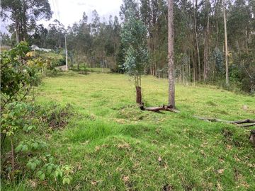 Venta de Terreno, Cuenca, Ricaurte, Adobepamba 1671m²