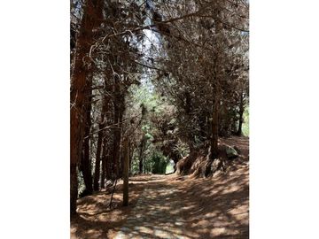 Venta de Hacienda Turística, Nabón, 42 ha