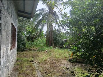 VENDO CASA EN CHIRIQU TIJERAS BOQUERON