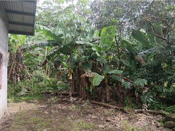 VENDO CASA EN CHIRIQU TIJERAS BOQUERON