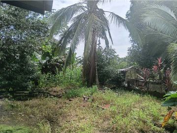 VENDO CASA EN CHIRIQU TIJERAS BOQUERON