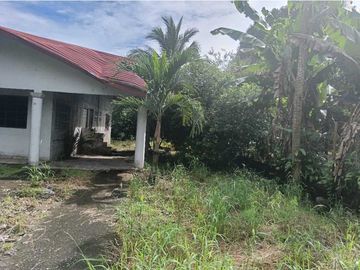 VENDO CASA EN CHIRIQU TIJERAS BOQUERON