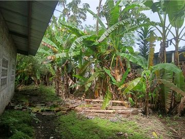 VENDO CASA EN CHIRIQU TIJERAS BOQUERON