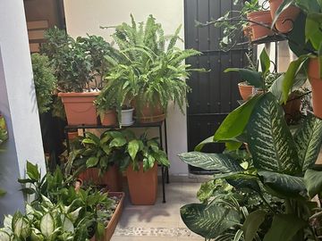 CASA EN VENTA EN PALO BLANCO SAN PEDRO