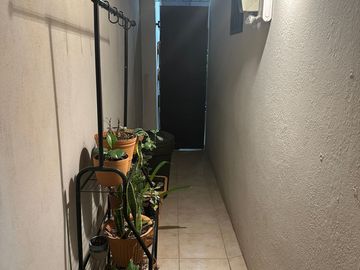 CASA EN VENTA EN PALO BLANCO SAN PEDRO