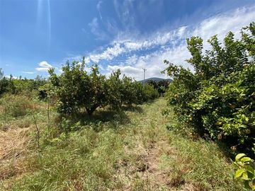 Sitio en Venta en Los Panguiles / Derechos de Agua