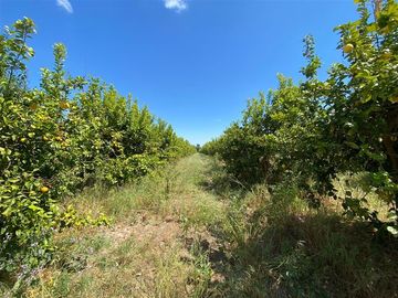 Sitio en Venta en Los Panguiles / Derechos de Agua