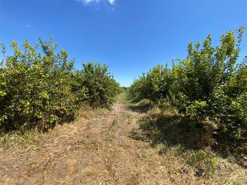 Sitio en Venta en Los Panguiles / Derechos de Agua