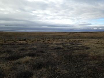 Terreno Campo 234 ha  en Tierra del Fuego con acceso al Estrecho de Magallanes.