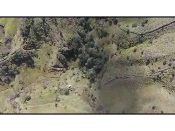 Vendo Finca 65 Cuadras Cocorna