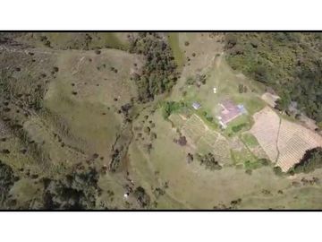 Vendo Finca 65 Cuadras Cocorna