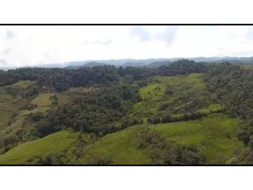 Vendo Finca 65 Cuadras Cocorna