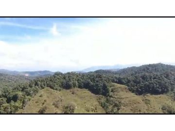 Vendo Finca 65 Cuadras Cocorna