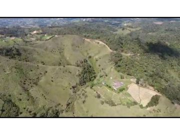 Vendo Finca 65 Cuadras Cocorna