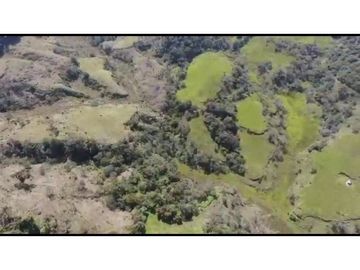 Vendo Finca 65 Cuadras Cocorna