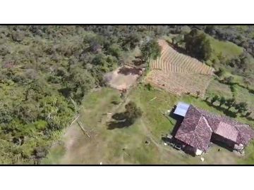 Vendo Finca 65 Cuadras Cocorna