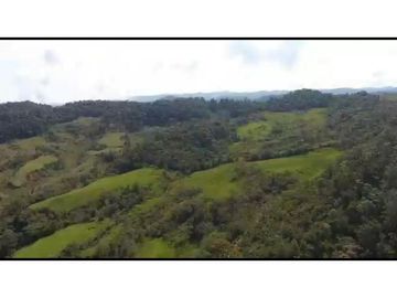 Vendo Finca 65 Cuadras Cocorna