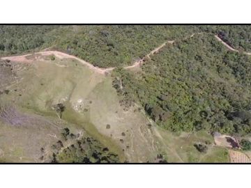 Vendo Finca 65 Cuadras Cocorna
