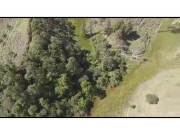 Vendo Finca 65 Cuadras Cocorna
