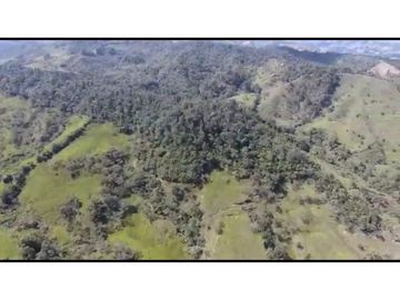 Vendo Finca 65 Cuadras Cocorna