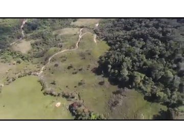 Vendo Finca 65 Cuadras Cocorna