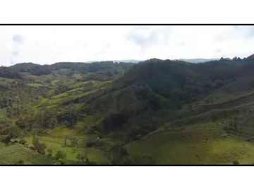 Vendo Finca 65 Cuadras Cocorna