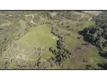 Vendo Finca 65 Cuadras Cocorna