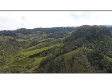 Vendo Finca 65 Cuadras Cocorna