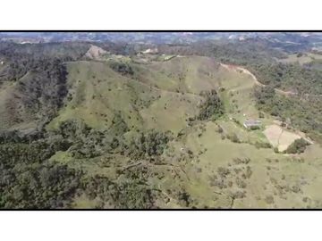 Vendo Finca 65 Cuadras Cocorna