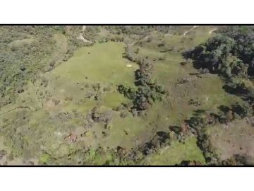 Vendo Finca 65 Cuadras Cocorna