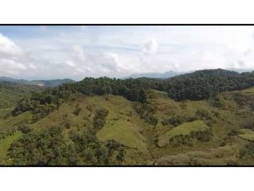 Vendo Finca 65 Cuadras Cocorna