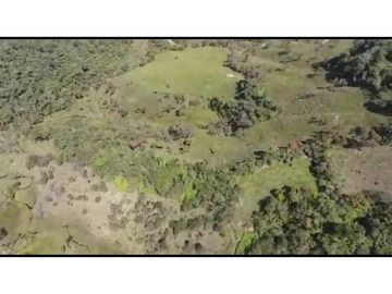 Vendo Finca 65 Cuadras Cocorna