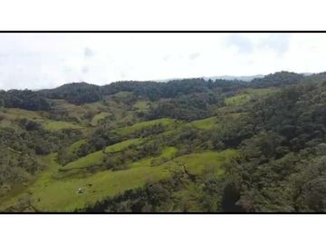 Vendo Finca 65 Cuadras Cocorna