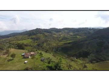 Vendo Finca 65 Cuadras Cocorna