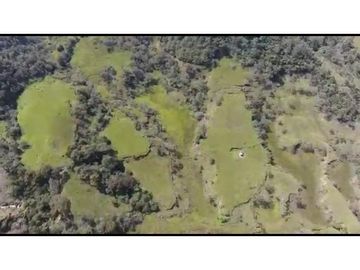Vendo Finca 65 Cuadras Cocorna