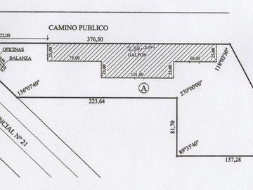 Ruta 21- Alvear - Galpón 3.000 m2.