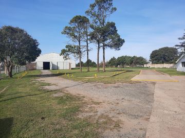 Ruta 21- Alvear - Galpón 3.000 m2.