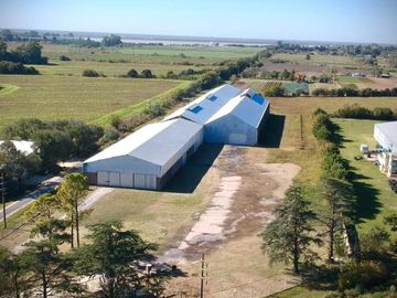 Ruta 21- Alvear - Galpón 3.000 m2.