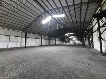 Ruta 21- Alvear - Galpón 3.000 m2.